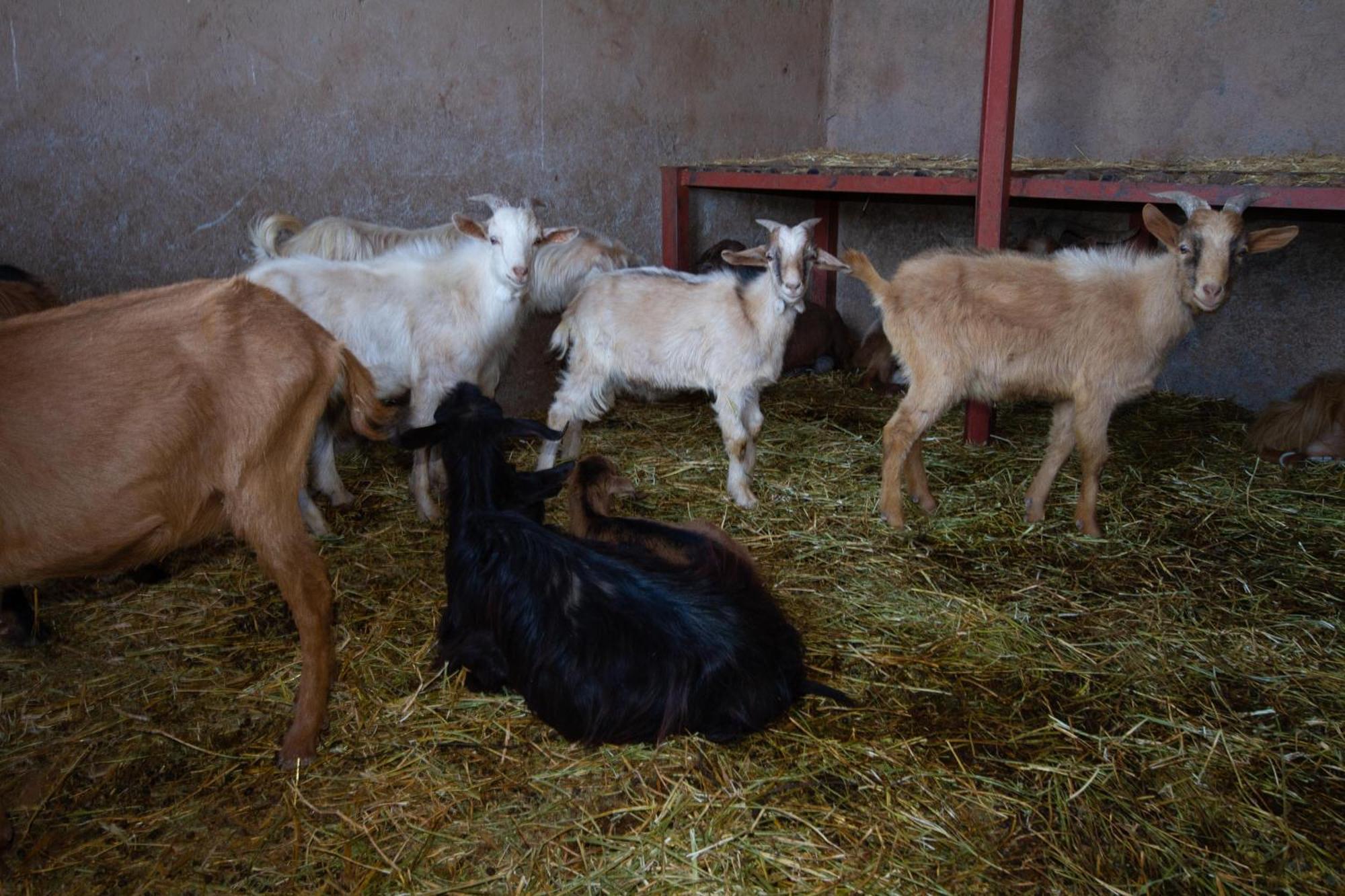 La Ferme De Lalladom Tameslouht Esterno foto