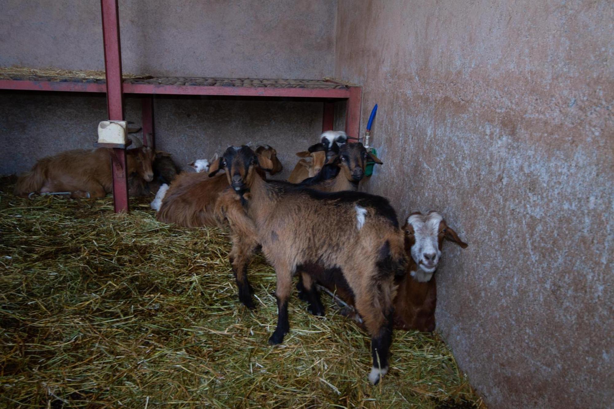 La Ferme De Lalladom Tameslouht Esterno foto
