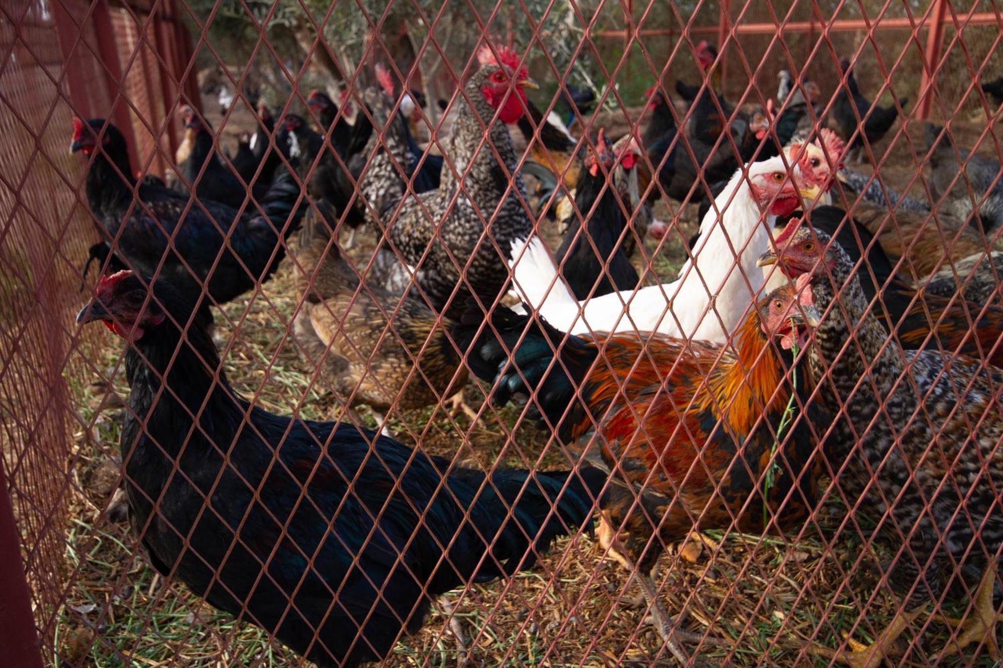 La Ferme De Lalladom Tameslouht Esterno foto