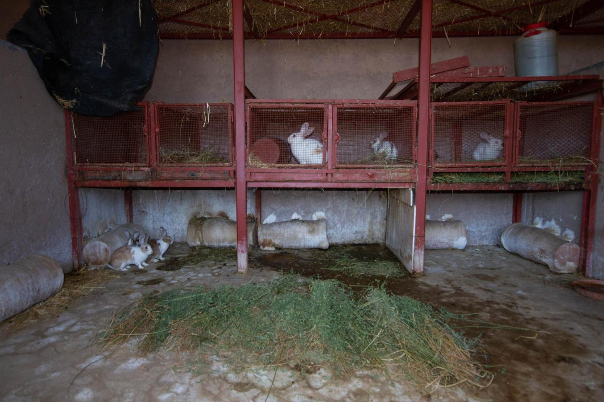 La Ferme De Lalladom Tameslouht Esterno foto