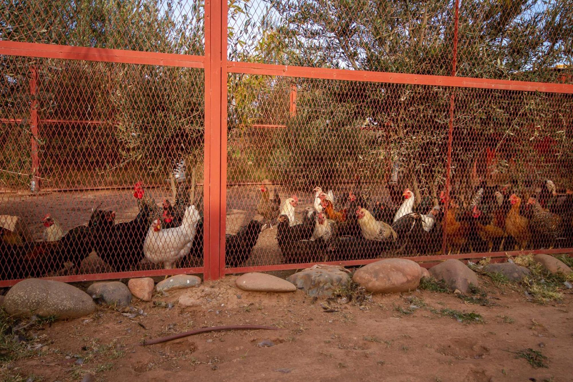 La Ferme De Lalladom Tameslouht Esterno foto